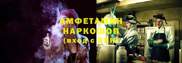 индика Абинск