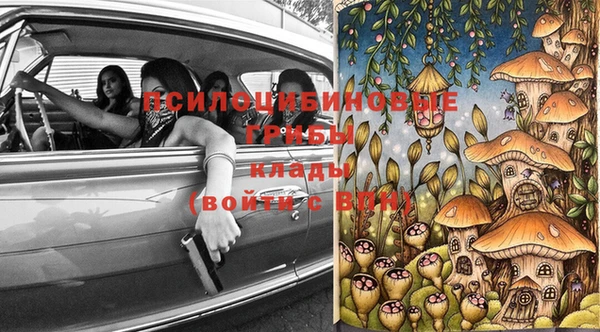 индика Абинск