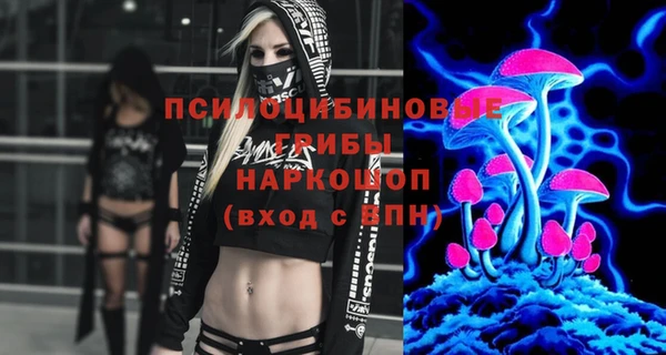 индика Абинск