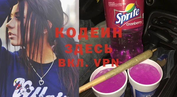 индика Абинск