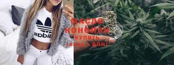 индика Абинск
