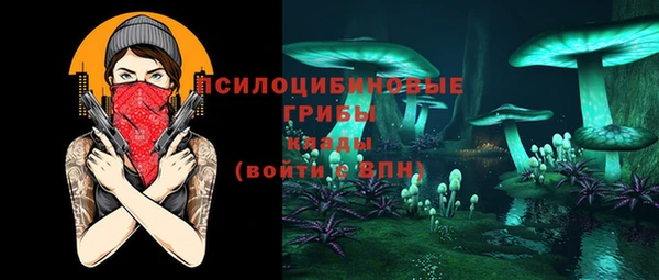 прущие грибы Приозерск