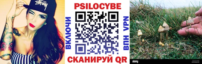 гидра ссылка  Знаменск  Галлюциногенные грибы мицелий 